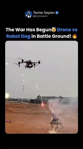 Drone vs Robot Dog — Real Firework Battle! 🤯🔥