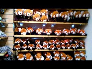 Bronx Zoo Store