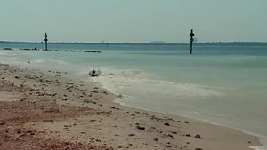 Dolphin Tale 2 splashes into stores today! Get your copy on Blu-ray™ and DVD now. | Warner Bros. Entertainment Australia