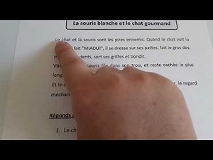 CE1 Lecture du texte : La souris blanche et le chat gourmand