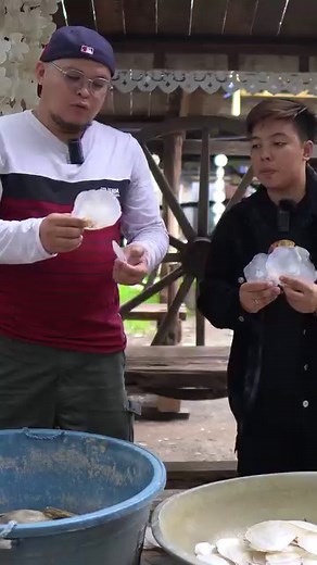 Paglilinis ng mga Capiz Shells Watch the Full Episode: https://www.youtube.com/watch?v=-mvDCWd-JkM #AgreeSaAgri #agriculture #windowpane #Reels | Agree sa Agri