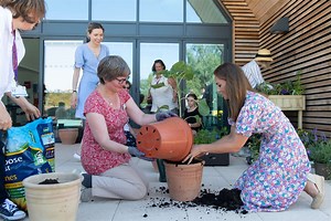 Prince George ‘grumpy’ as Prince Louis leads in family sunflower competition