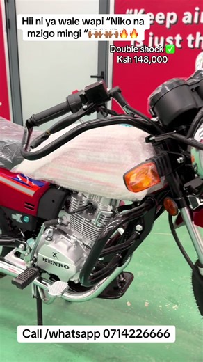 Kenbo Bikes & Scooters: Performance and Durability