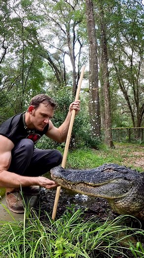 60K views · 1.9K reactions | Sensitivity training with with Dino!...