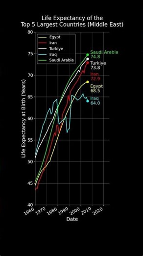 Top 5 Largest Middle Eastern Countries by Life Expectancy #datavisualization