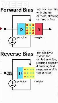 📡Overview and working - PIN Diode #electronic #switch #science #tech #explore #physics#sciencefacts