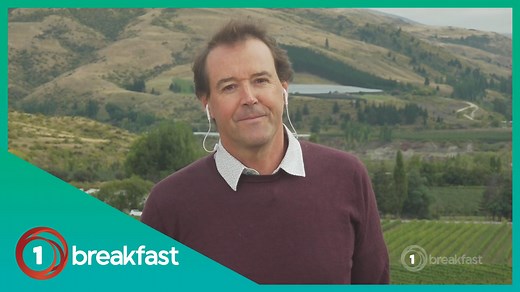 2.6K views · 21 reactions | This week a free-trade agreement was signed between the UK and NZ which will see almost all tarrifs removed on our exports. This comes as good news for business owners, especially wine makers, who say the reduction in regulations will make a real difference. | Breakfast | Facebook