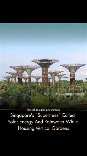 Tech Hub | Singapore’s iconic Supertrees are more than just architectural wonders — they’re engineered ecosystems that collect solar energy, harvest... | Instagram