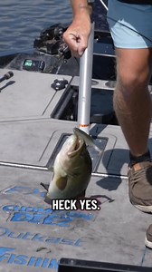 Big largemouth from the upper Mississippi. Outkast Tackle FXR Pro Fish Mercury Marine Caymas Boats Dakota Lithium Batteries #Bassmaster #Angler #BassFishing #fishing #outdoors | JT Thompkins Fishing