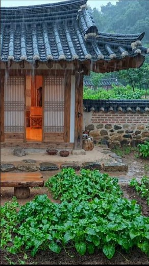"옛시골 한옥마당의 빗소리" | Relax Sleep Rain(10분 후 검은 화면) – Nurarain sleep