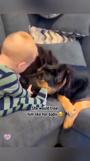 True love pet dog tiktok dogsoftiktok Love foryou friends | Super zoo