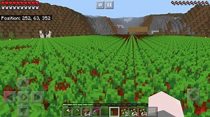How to make an automatic beetroot farm in Minecraft