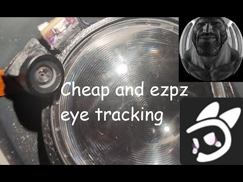 Quest 2 Eye And Face Tracking For Under $100 Tutorial