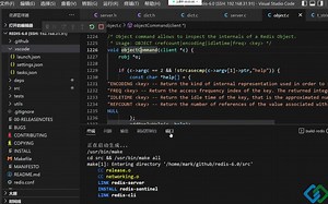 从源码上解析：redis 单线程为什么这么快？|reactor 网络模型并发处理多条连接；字典动态扩缩容、渐进式 hash；数据结构多种实现