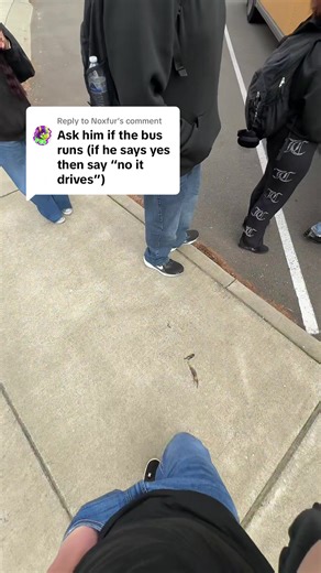 Replying to @Noxfur #fyp #askingdumbquestions #funny #xyzbca #viral | questions