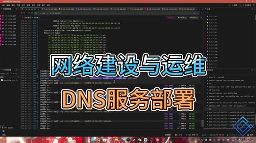 网络建设与运维Linux服务器部署DNS服务
