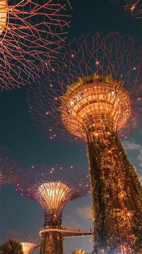 🌿❤️ Peaceful Nature Vibes That Heal Your Heart & Mind