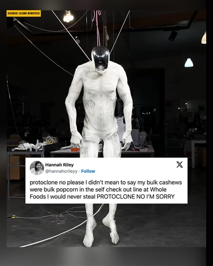 Revolutionary Human-Like Robot Unveiled by Clone Robotics