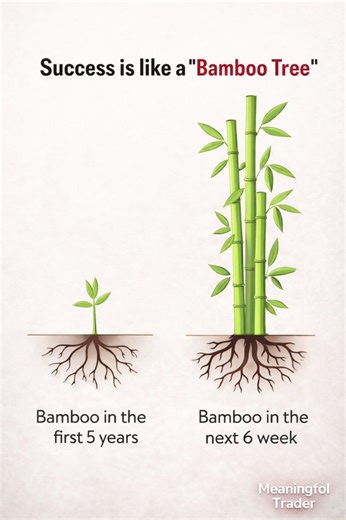 Success Bamboo Tree Jaisa Kyun Hota Hai? 🌱🔥 #meaningfultrader