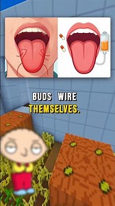 Your Taste Buds Die Every 2 Weeks! 😱👅