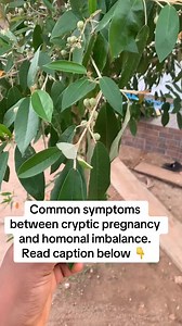 Cryptic Pregnancy vs. Hormonal Imbalance: Symptoms Explained