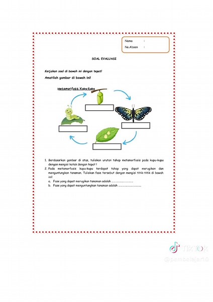 Modul Ajar Metamorfosis Kelas 3 dengan Deep Learning