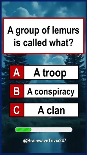 General Knowledge Quiz: #shorts #shortsfeed #quiz #gk