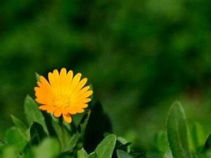 【合唱曲】旅立ちの時【歌詞つき】