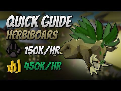 Herbiboar Quick Guide [150K EXP | 450K GP]