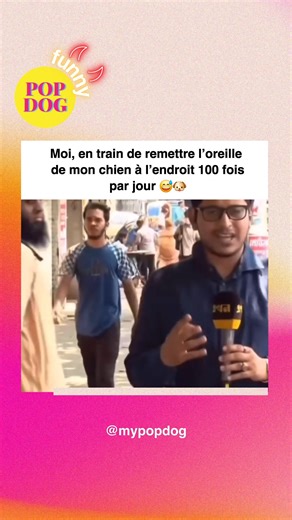 7.7K views · 68 reactions | Le cadeau idéal pour ton chien est juste là  Découvre nos colliers et laisses PopDog waterproof, colorés et super confort  Parfait pour tous les toutous qui aiment bouger. www.popdog.fr ✨❤️ | Pop Dog | Facebook