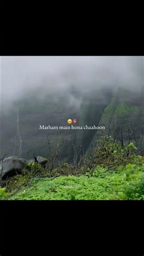 Tera hi bas hona chaahoon | Jojo ,Najam Sheraz | #nature #travel#sad#emotional#hindilyrics #ytshorts
