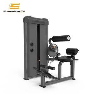 [Hot Item] Commercial Fitness Machine Abdominal Back Extension Strength Equipment
