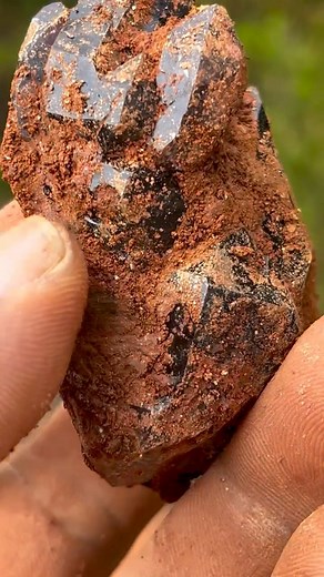 419 reactions · 17 shares | Catawba Co NC…the weather is getting cooler…and Let the Digging Season Begin!!…Thank you to the property owner for creating a memorable experience…Hope everyone’s season is off to a rocking start!!…Thank you as always!!…Happy Hounding!! | Daniel Coleman | Facebook