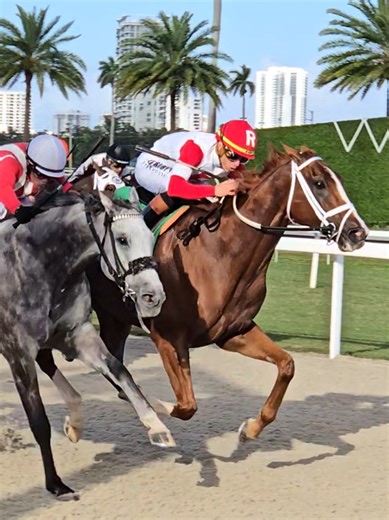Longbranch Lou Wins Kicks Go Handicap at Gulfstream Park