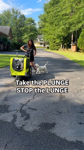 Kim Paciotti Puppy Training Specialist CPDT-KA on Instagram: "👉Take the plunge stop the lunge ➡️Your puppy walks great in the driveway. Then you take them to the sidewalk and they lose their mind at the first bike that goes by. ➡️There is one more step you want to take before you head out into the neighborhood, and that is adding a moving object. ✅What to use: Rolling suitcase, kids walking bikes, wagon, trash bin with wheels, laundry basket on wheels, shopping cart, skateboard you push, wheelb