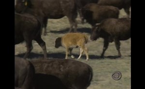 Friday, September 16, 1994