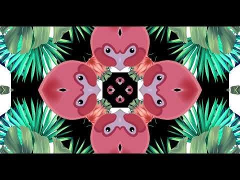 VJ LOOPS (4K) / MOTION GRAPHIC / ANIMATION / VISUAL LOOPS / CINEMA 4D - KALEIDA TROPICAL LEAVES