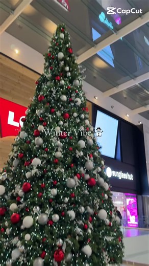 Winter Wonderland in Halifax ❄️ #SnowInHalifax #WinterWonderland #HalifaxNovaScotia #Snowfall2025 #CanadianWinter #WinterVibes #HalifaxSnow #NovaScotiaBeauty #CozyWinter #ExploreHalifax