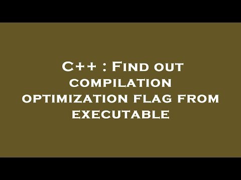 C++ : Find out compilation optimization flag from executable