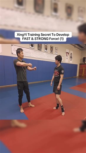 XingYi Training Secrets for Developing Strong Force