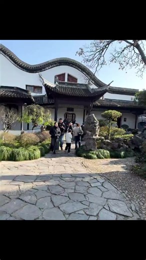 Aaaaaa!!!! Mỳ Lạnh ơi,sao mà cute thía🤭🤭🤭 lon ta lon ton #mylanh #liangpi #pipige #xuhuong