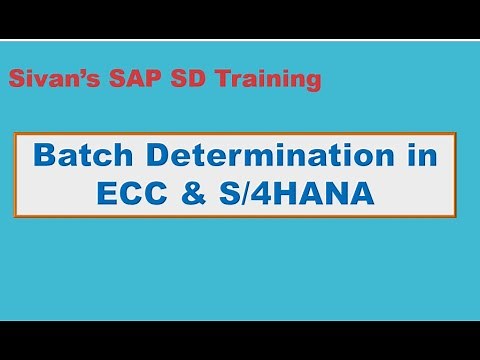 SAP SD Batch Determination or Batch Management | Sivan's SAP SD Training
