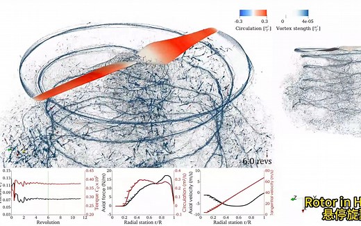 Reformulated Vortex Particle Method涡粒子法的应用