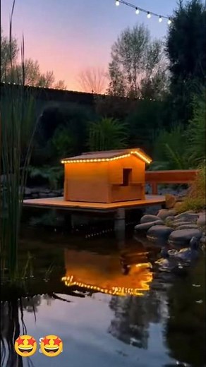 Building a5-Star Floating Villa for my Turtle! 🐢🏠#TurtleLife #DIYPetHouse #WoodWorking #ShortsNature