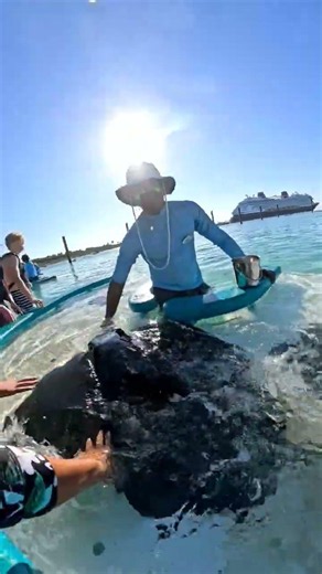 ​You won't believe the size of Anber, the stingray I fed on Disney’s private island! 💀