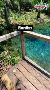 50K views · 5.3K reactions | BONITO  2x1 2x1 2x1 2x1  (Paga 1...