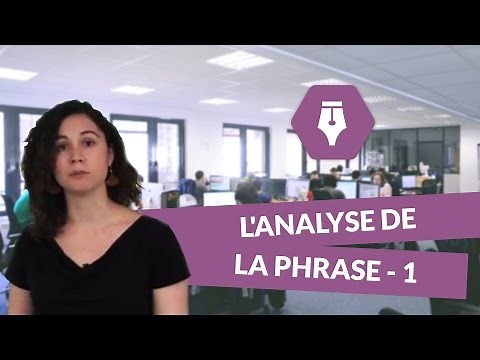 L'analyse de la phrase (1/3) - Français Lycée - digiSchool