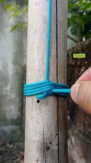 It's Really Smart Idea #bolun #creativesurvival #shortsfeed #shorts