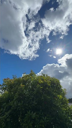 Beautiful blue skies and fluffy clouds in Sonoma County, CA