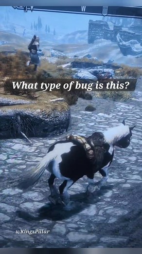 You sir, have become horse 🐎 📹:KingsPillar #Skyrim #horse #gaming #funnygaming | Elder Scrolls & Fallout Screenshots